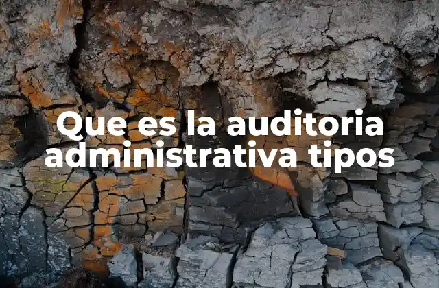 Que es la Auditoria Administrativa Tipos