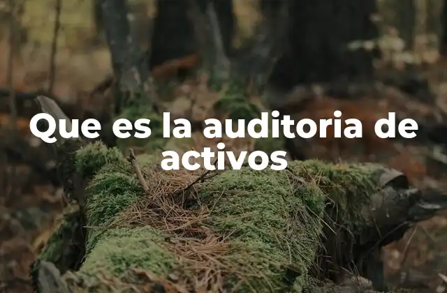 Que es la Auditoria de Activos