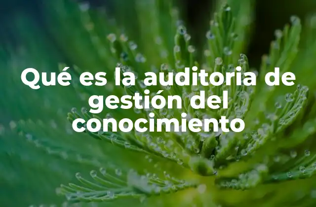 Qué es la Auditoria de Gestión Del Conocimiento
