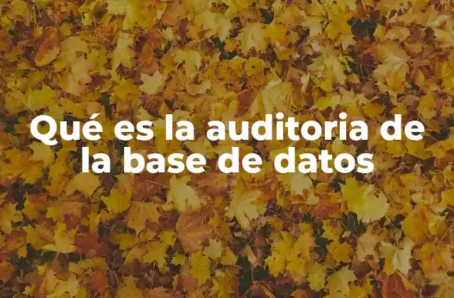 Qué es la Auditoria de la Base de Datos