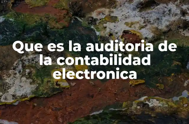 Que es la Auditoria de la Contabilidad Electronica
