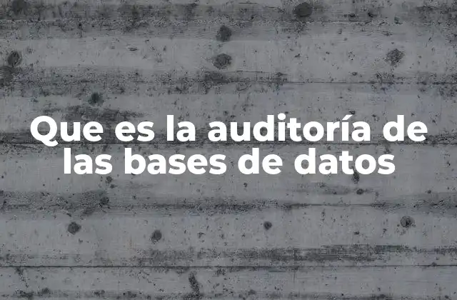 Que es la Auditoría de las Bases de Datos