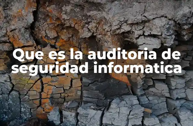 Que es la Auditoria de Seguridad Informatica