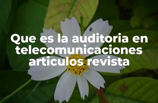 Que es la Auditoria en Telecomunicaciones Articulos Revista