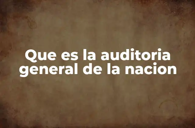 Que es la Auditoria General de la Nacion 2 El rol de la AGN en el control de los recursos estatales