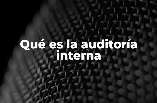 Qué es la Auditoría Interna