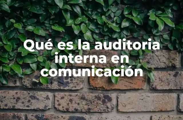 Qué es la Auditoria Interna en Comunicación