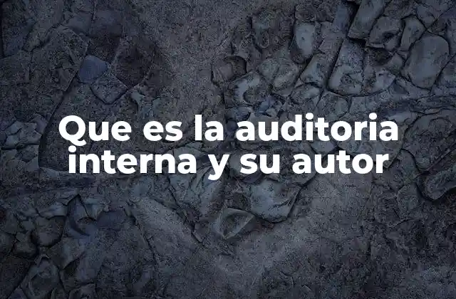 Que es la Auditoria Interna y Su Autor