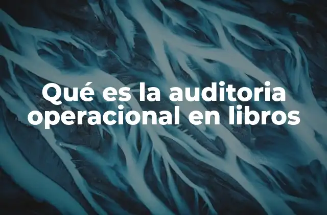 Qué es la Auditoria Operacional en Libros