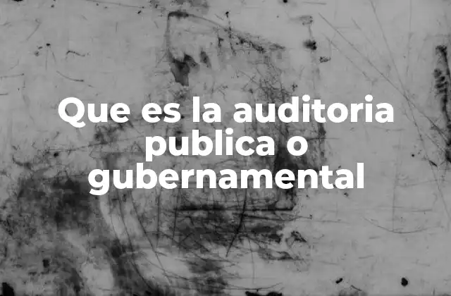 Que es la Auditoria Publica o Gubernamental