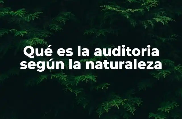 Qué es la Auditoria según la Naturaleza 2 La clasificación de la auditoría según su enfoque