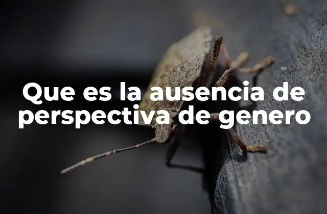 Que es la Ausencia de Perspectiva de Genero