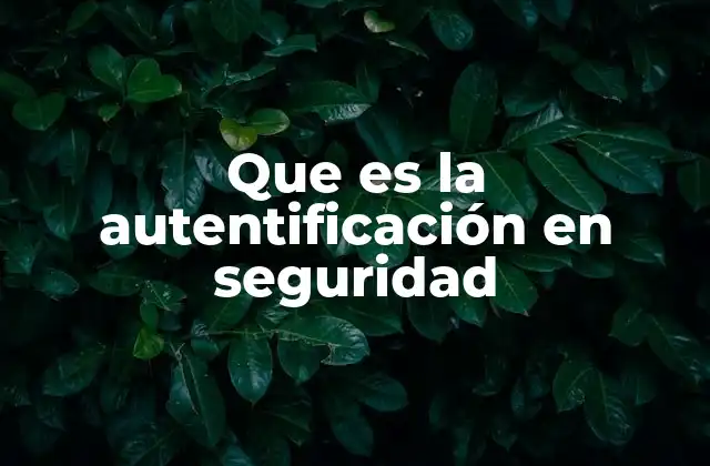 Que es la Autentificación en Seguridad