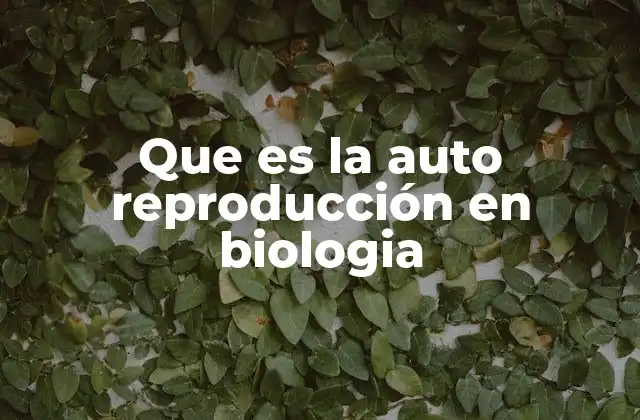 Que es la Auto Reproducción en Biologia