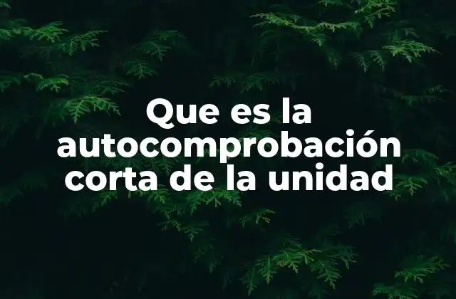 Que es la Autocomprobación Corta de la Unidad