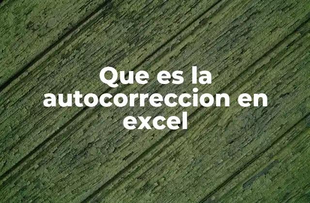 Cómo Excel identifica y corrige errores de entrada