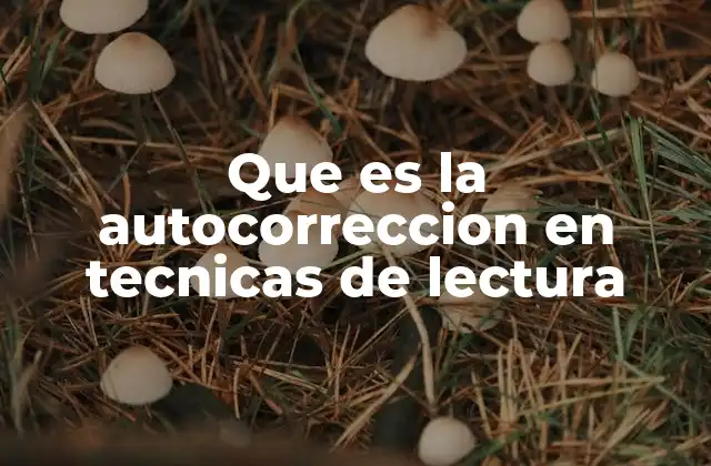 Que es la Autocorreccion en Tecnicas de Lectura