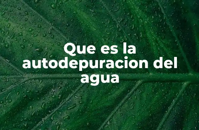 Que es la Autodepuracion Del Agua