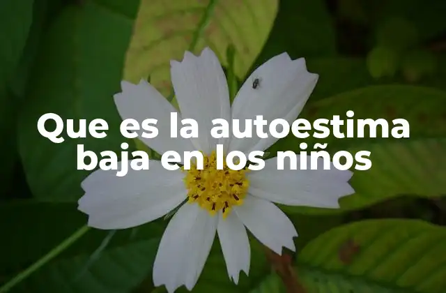 Que es la Autoestima Baja en los Niños