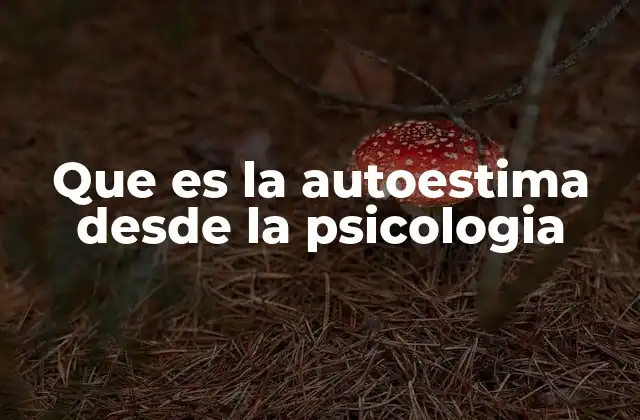 Que es la Autoestima desde la Psicologia
