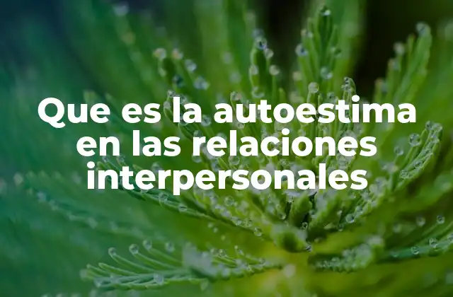 Que es la Autoestima en las Relaciones Interpersonales