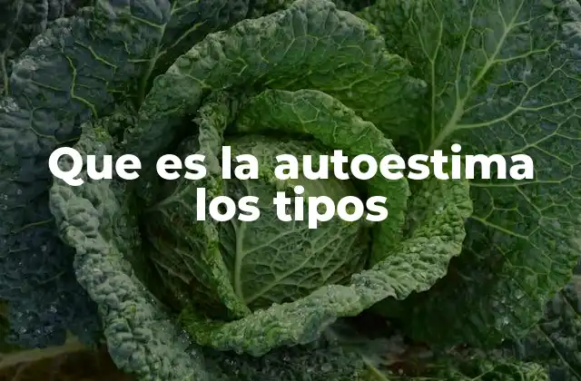Que es la Autoestima los Tipos