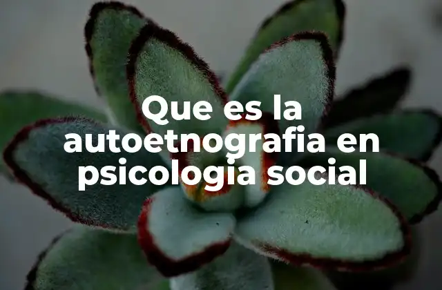 Que es la Autoetnografia en Psicologia Social
