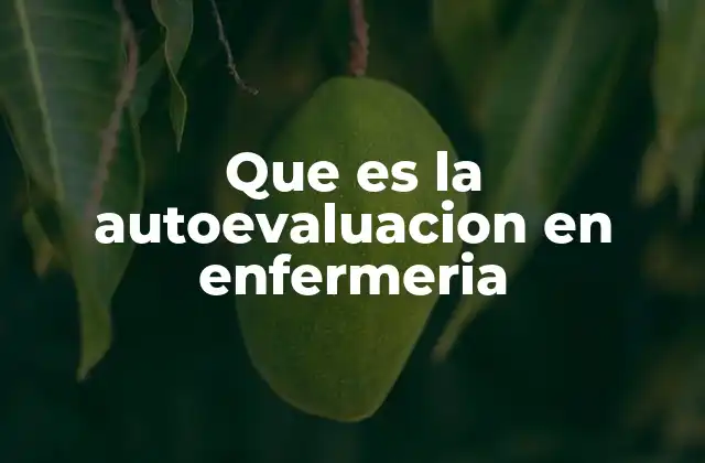 Que es la Autoevaluacion en Enfermeria