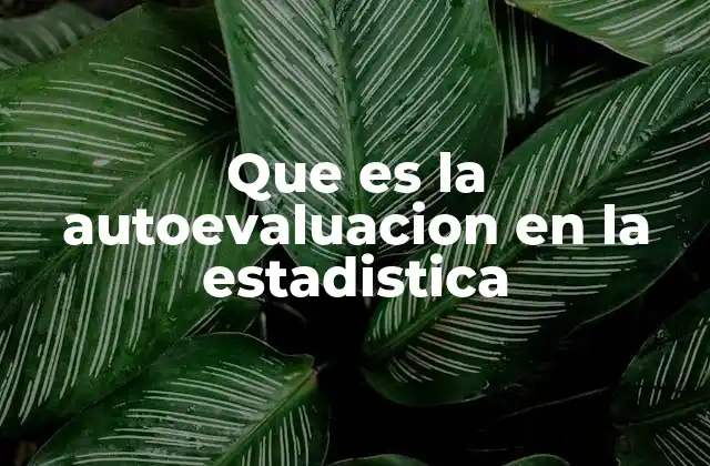 Que es la Autoevaluacion en la Estadistica