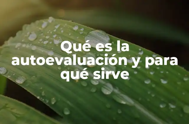 Qué es la Autoevaluación y para Qué Sirve