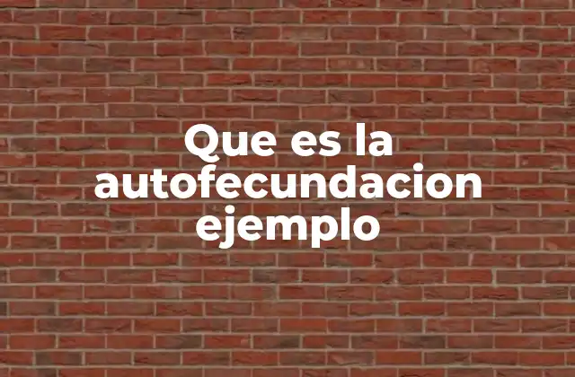 Que es la Autofecundacion Ejemplo