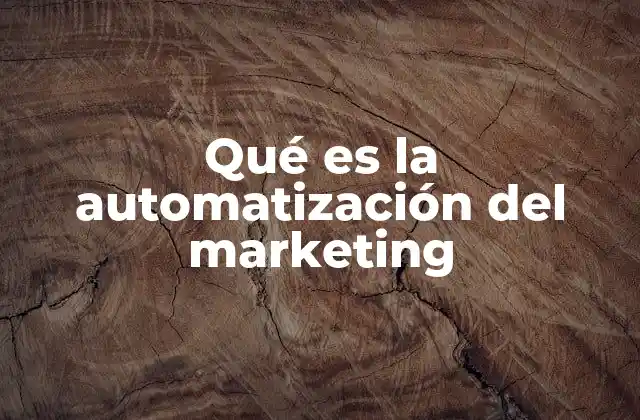 Qué es la Automatización Del Marketing