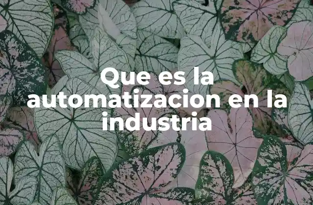 Que es la Automatizacion en la Industria