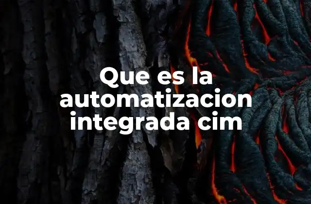 Que es la Automatizacion Integrada Cim
