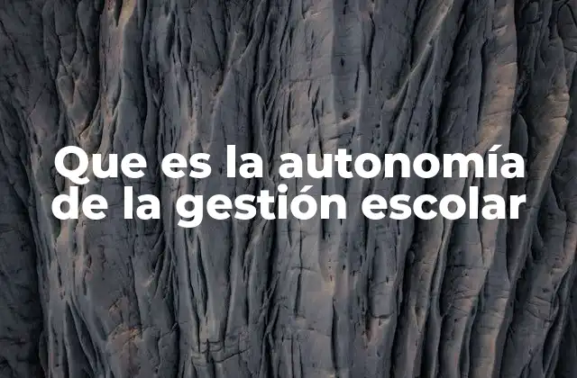 Que es la Autonomía de la Gestión Escolar