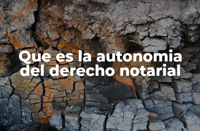 La importancia del notariado en el sistema legal