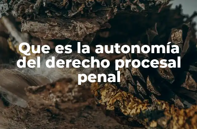 Que es la Autonomía Del Derecho Procesal Penal 2 El derecho procesal penal como sistema independiente