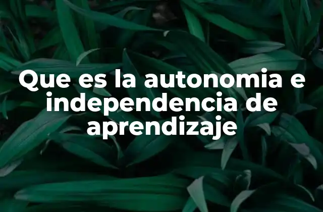 Que es la Autonomia e Independencia de Aprendizaje