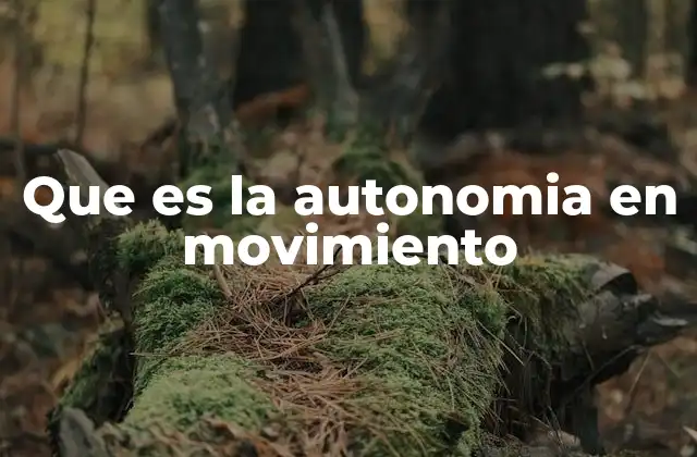 Que es la Autonomia en Movimiento