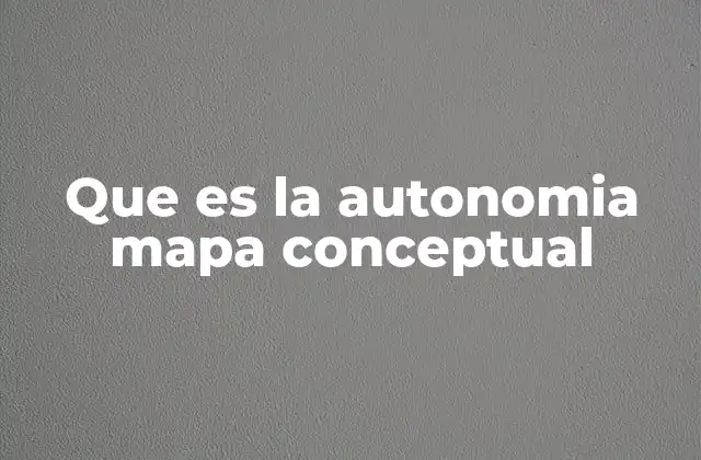 Que es la Autonomia Mapa Conceptual