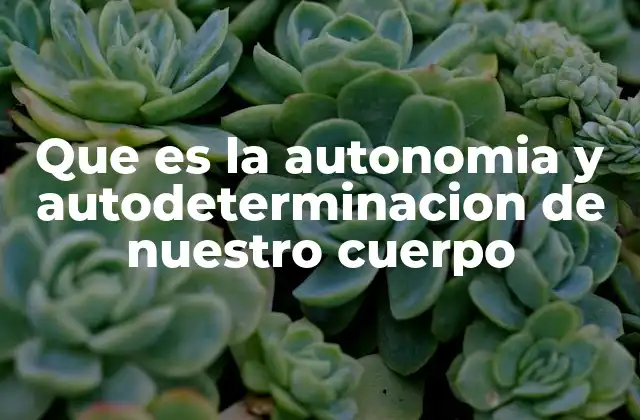 Que es la Autonomia y Autodeterminacion de Nuestro Cuerpo