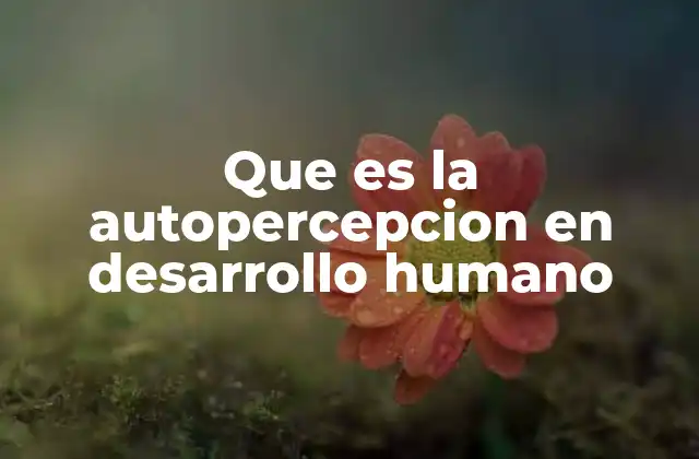 El papel de la autopercepción en la identidad personal