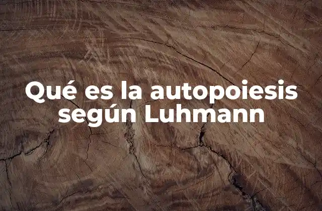 Qué es la Autopoiesis según Luhmann