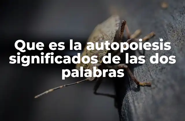 Que es la Autopoiesis Significados de las Dos Palabras