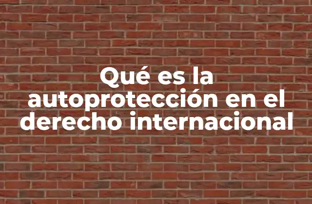 Qué es la Autoprotección en el Derecho Internacional
