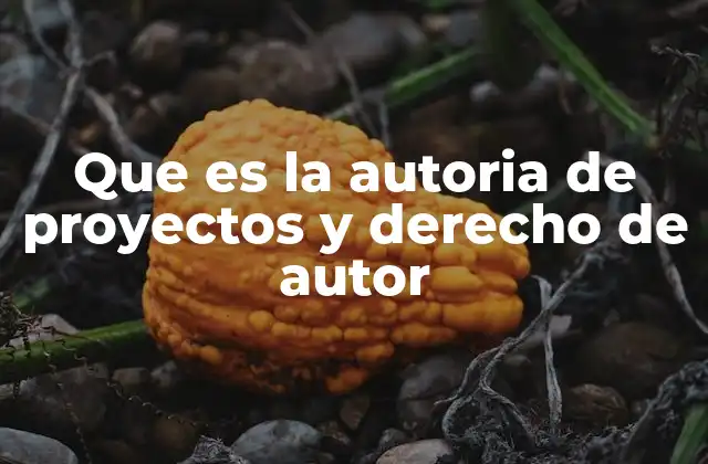 Que es la Autoria de Proyectos y Derecho de Autor