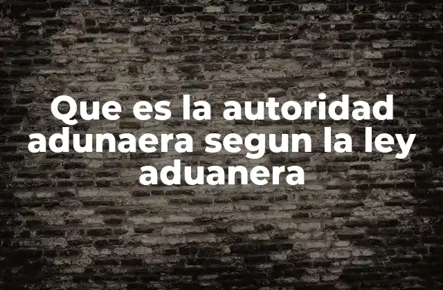 Que es la Autoridad Adunaera Segun la Ley Aduanera