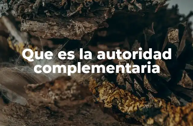 El papel de las autoridades complementarias en la organización estatal