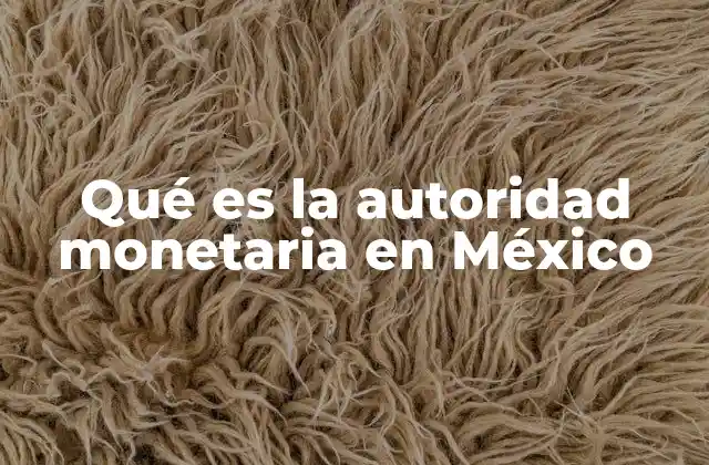 Qué es la Autoridad Monetaria en México