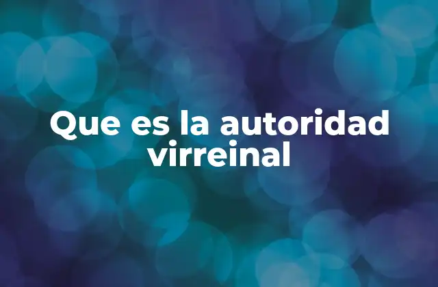 Que es la Autoridad Virreinal